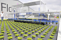 <p>Der Callunen-Produktionsbetrieb RheinMaasFlora aus dem niederrheinischen Kevelaer hat 15 Hektaren Anbaufläche als Lavafelder mit Drainage für ein…</p>