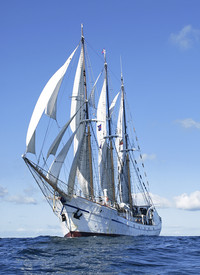 <p>Die Grünen Berufe Schweiz (GBS) schlitterten an der letzten Delegiertenversammlung sozusagen führungslos in eine Flaute. «Stellen Sie sich vor, Sie…</p>