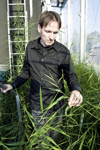 <p>Ingenieure der Technischen Universität Berlin (TU) haben eine Pflanzenheizung entwicklet, die unabhängig von der Jahreszeit Wärme generieren soll. Das…</p>