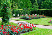 <p>Die am Rande des Nordschwarzwalds, auf halbem Weg zwischen Basel und Frankfurt gelegene Stadt Baden-Baden besitzt zwei der schönsten Rosengärten in…</p>