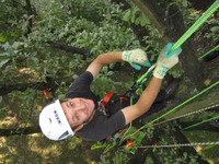  1 Bei Baumpflegespezialisten