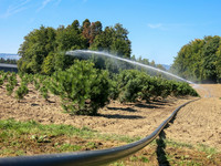 <p>Die extreme Trockenheit im letzten Jahr hat die Produzenten aufgeschreckt. Niederschlagsmenge und -verteilung geraten als Folge des Klimawandels…</p>