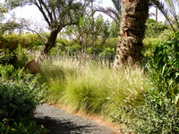 <p>Die Rückkehr des Paradieses verspricht André Heller mit seinem neuen Projekt, dem Garten «Anima», was mit Leben, Seele, Atem übersetzt werden kann.…</p>