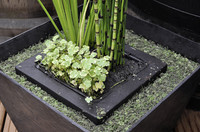 <p></p><p>Wer die Sortimente in den </p>
<p>Gartenmärkten aufmerksam beobachtet, dem wird der stark </p>
<p>reduzierte Bereich rund um den Wassergarten auffallen. Was früher…</p>
