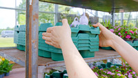 <p>Wie geplant, startete im August die Produktion der Mehrweg-Trays Euro Plant Tray (EPT). Das Produkt ist mit über einer Million Bestellungen bereits…</p>