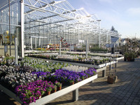 <p>Müller Blumen und Garten im deutschen Schallstadt hat den Mut bewiesen, der für mittelständische Betriebe der grünen Branche in Zukunft…</p>