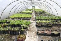 Begehbare Folientunnel sind