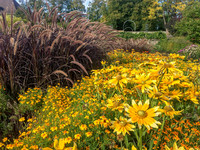 Sommerflor im Sortimentsgarten.