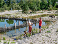 <p>Wer dieser Tage das Naturschutzgebiet Reinacher Heide südlich von Basel besucht, staunt. Wo jahrelang eine abgesperrte Brache lag, hat sich mächtig…</p>