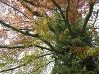 <p>Kohlendioxid ist eigentlich ein harmloses Gas und für Pflanzen ein unverzichtbarer Nährstoff. Erst mit der Anreicherung in der Atmosphäre und seiner…</p>