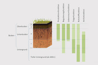 <p>Böden sind eine knappe und nicht erneuerbare Ressource von grossem ökologischem und&nbsp;ökonomischem Wert. Die vom Bundesrat&nbsp;am 8. Mai 2020 verabschiedete…</p>