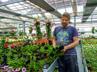 <p>Die VEBO-Gärtnerei in Matzendorf ist ein besonderer Ausbildungsbetrieb. Zur sozialen und beruflichen Integration von Menschen mit einer…</p>