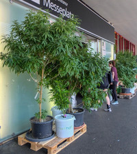 <p>Innovativ, kreativ und definitiv weg von der klassischen Warenmesse – so die Zielsetzung der diesjährigen MUBA in Basel. Start-ups aus Basel sowie…</p>