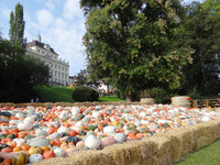 <p>Die weltgrösste Kürbisausstellung im Blühenden Barock Ludwigsburg&nbsp;feiert in diesem Jahr ihr 20-jähriges Bestehen. Dazu passt&nbsp;das Ausstellungsmotto…</p>