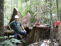 <p>Die Geschehnisse nur eines Jahres machen eines deutlich: Dem grossen Entset-zen folgt das schnelle Vergessen. Kapitale Schäden bei Flora und Fauna…</p>