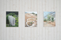 <p>Unter dem Titel «Ein Garten ist ein Garten ist ein Garten» widmet sich das Nidwaldner Museum vom 28. Juni bis 5. Oktober 2025 dem Garten als…</p>