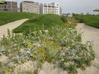 Die Bundesgartenschau Heilbronn ist eine Reise wert <p>Der Bundesgartenschau (Buga) Heilbronn ist eine intensive zwölf Jahre lange Planungsphase vorausgegangen. Das Grossevent, das noch bis 6. Oktober 2019…</p>