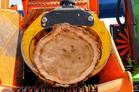 <p>An der Luzerner Leistungsschau der Waldwirtschaft stand die Förderung des Nachwuchses im Mittelpunkt. Daneben wartete die Forstmesse 2015 im Messe-…</p>