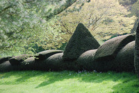 <p>Little Malvern Court ist ein historischer Landgarten in Südengland, der von der renommierten, englischen Gartengestalterin Arabella Lennox-Boyd…</p>