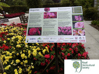 <p>Rund 80 Teilnehmende aus neun Ländern trafen sich unter dem Motto «Erfolge teilen» in England zur 4. Internationalen Home Garden Conference. Das…</p>