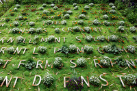 <p>27. Gartenfestival in Chaumont sur Loire 2018</p><p>Auch im 27. Jahr nach seiner Premiere 1992 bietet das französische Gartenfestival im Tal der Loire…</p>