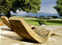 <p>«Ich sehe einen Stamm und weiss, was in ihm steckt. Ich muss es nur noch mit der Kettensäge herausschälen.» Da war schon immer dieses tiefe Gefühl,…</p>