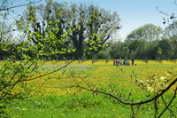 <p>An der Preisverleihung am 6. September 2019 in Jüchen bei Düsseldorf wurden die schönsten Gärten in ganz Europa mit dem Europäischen Gartenpreis…</p>
