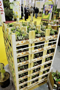 <p>Bereits zum 30. Mal findet in der Zeit vom 24. bis 27. Januar 2012 die Internationale Pflanzenmesse IPM in Essen statt. Über 1500 Aussteller aus mehr…</p>