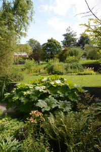 <p>Der neue Abteilungsleiter Garten Unterhalt der Gewerblichen Berufsschule Wetzikon (GBW) verfügt über einen facettenreichen Werdegang. Im Gespräch mit…</p>