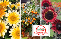 <p>Ein zweifarbiges Sommer-Highlight,&nbsp;eine rote Sonne für den sommerlichen Garten und eine kleine Naschtomate mit grossem Geschmack&nbsp; – das sind die von…</p>