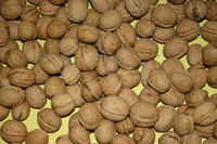 <p>Am Sonntag, 17. November 2019, findet in Hörhausen der 6. Tag der Nuss statt. Von 10 bis 16 Uhr heissen die Nuss-Baumschule Gubler AG und der…</p>