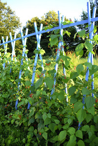 <p>Wie temporäre Installationen in der Freiraumgestaltung Orten ein neues Gesicht ­geben, zeigte eine Aktion von Studierenden des Fachs…</p>