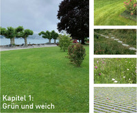 <p>Vegetationsdecken wie Rasen und Wiesen sowie Sonderformen wie Schotterrasen oder Rasenliner werden in so ziemlich allen Neuanlagen auf die ein oder…</p>