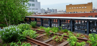 <p>Der High Line Park auf einer ausrangierten New Yorker Eisenbahnlinie macht Schlagzeilen. Doch es gibt auch andere Orte in der US-Metropole, die nach…</p>