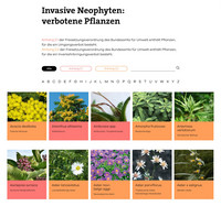 <p>JardinSuisse hat die Website neophyten-schweiz.ch anlässlich der überarbeiteten Freisetzungsverordnung zum 1. September aktualisiert und neu…</p>