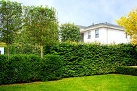 <p>Die Gartengrundstücke werden immer kleiner. Da der Garten heute meist vor allem als Wohngarten genutzt wird, als zusätzliches grünes Zimmer, bekommt…</p>