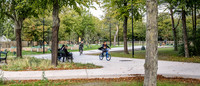 <p>Der Remisepark in Kopenhagen, der das Titelbild der aktuellen dergartenbau-Ausgabe ziert und in einem mehrseitigen Beitrag porträtiert wird, erhält…</p>