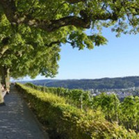 <p>Die Rezertifizierung durch die Vereinigung Schweizerischer Stadtgärtnereien und Gartenbauämter (VSSG) wurde erfolgreich abgeschlossen. Winterthur ist…</p>