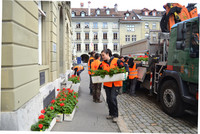 <p>Die Stadt Bern ist seit Langem heimliche Hauptstadt der Geranien. Dieses Jahr wird dies offiziell. Die Bundeshauptstadt steht ganz im Zeichen des…</p>