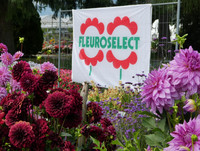 <p>Trotz des Regenwetters boten die diesjährigen Wyss Gartentage spannende Einblicke in den Versuchsgarten, der seit zwei Jahren biozertifiziert ist.…</p>
