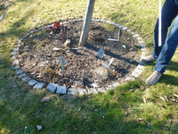 <p>Rasenmähroboter ersetzen zunehmend die motor­manuelle Mäharbeit. Die Bayerische Landesanstalt für Weinbau und Gartenbau (LWG) in Veitshöchheim testet…</p>