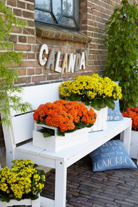 <p>Immer wieder neu und anders – beim Wohnschmuck ist Abwechslung gefragt. Kalanchoe eignen sich ausgezeichnet zum Dekorieren und Inszenieren, auch am…</p>