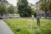 <p>Das Programm Stadtgrün von Grünstadt Zürich kann seit dem Start im Januar 2024 erste Ergebnisse zeigen und präsentiert anhand erster Beispiele, wie es…</p>