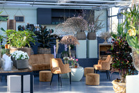 <p>Eine Kombination aus Café, Blumenladen und Pflanzencenter: Viktor Gschwend knüpft an den Erfolg des Blütenbistros in Romanshorn an und eröffnet in…</p>