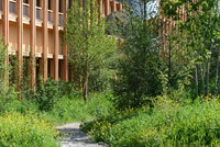 <p>Vor dem neuen Montage- und Logistikzentrum des Rheintaler Familienunternehmens Zünd Systemtechnik AG in Altstätten ist ein aussergewöhnlicher…</p>