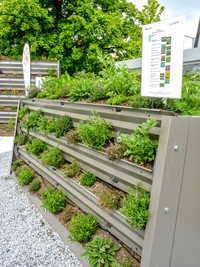<p>Es ist Frühling im Gartenforum von Spross – unter dem Motto «Spross und Schudel – ein kulinarisches Gartenevent für alle Sinne» lud die Spross…</p>