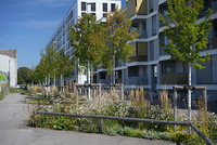 <p>Die Stadt Basel wurde mit dem Goldlabel von Grünstadt Schweiz ausgezeichnet. Das Label wird an Städte und Gemeinden vergeben, die ihre Grünflächen…</p>