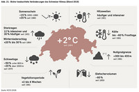<p>Der Klimawandel wirkt sich laut dem aktuellen Bericht des Bundesamtes für Umwelt (Bafu) auf die Schweiz besonders stark aus. Hierzulande&nbsp;habe sich die…</p>