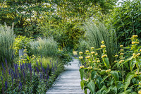 <p>Die herausragendsten Privatgärten des Jahres 2024 wurden am letzten Dienstag ausgezeichnet. Im Wettbewerb «Gärten des Jahres», der zum neunten Mal…</p>