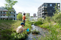 <p>Der neue «Prix Nature dans la ville» von Plante &amp; Cité Suisse und der Fondation Etrillard ehrt und fördert Projekte im öffentlichen Raum, die einen…</p>